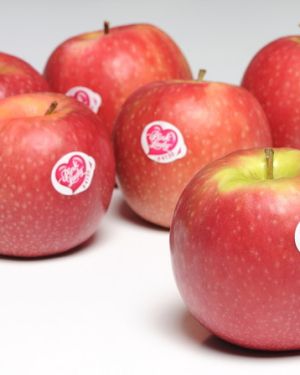 Manzana Pink Lady Kg