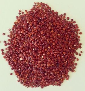 Quinoa Roja 500G